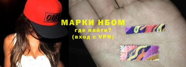 хмурый Осинники