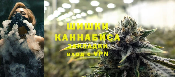 хмурый Осинники
