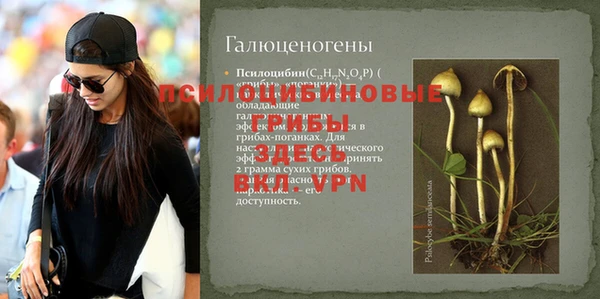 PSILOCYBIN Абинск