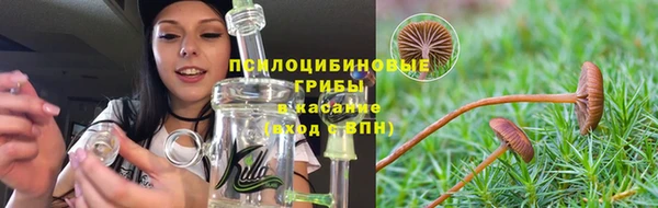 PSILOCYBIN Абинск