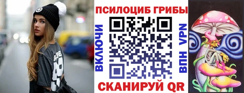 Псилоцибиновые грибы Psilocybine cubensis Нолинск